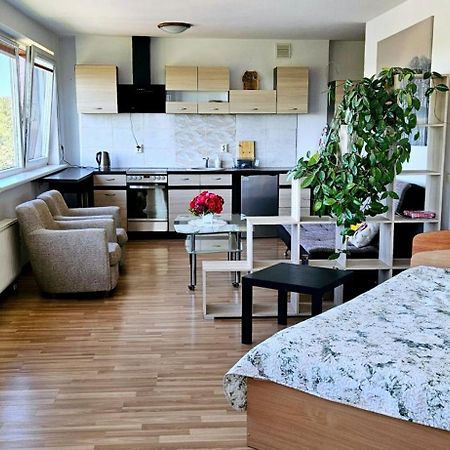 Veziu 10 Appartement Palanga Buitenkant foto