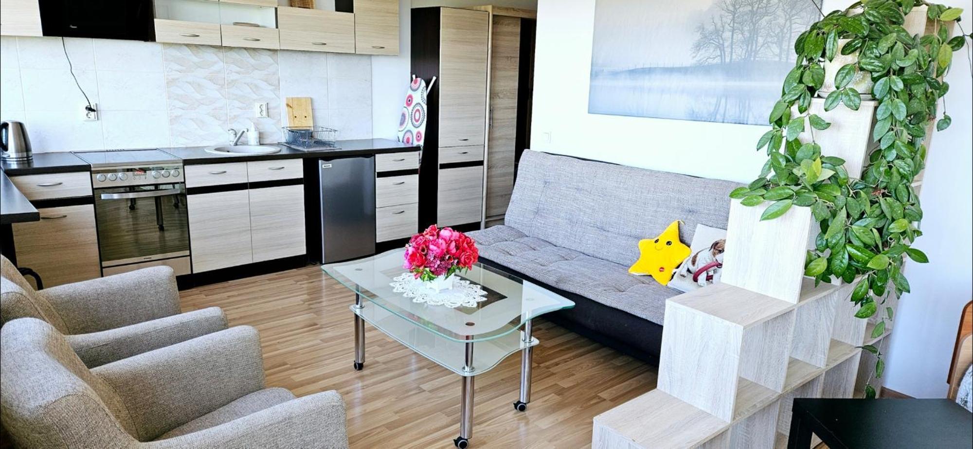 Veziu 10 Appartement Palanga Buitenkant foto